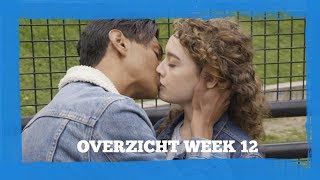 Overzicht week 12 | #Forever