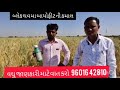 MO-9664856306 NETSURF BAYOFIT RIZALAT BALEK GHAUV