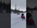 Snowmobile Adventure  Epic Snowy Ride Turns into Unexpected Drama!