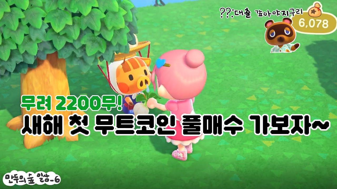 모동숲) 새해 기념 무트코인 전재산 올인!