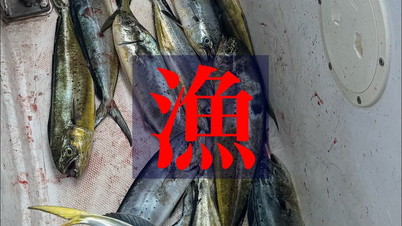 🇹🇭Thailand fishing Bang sare シイラ