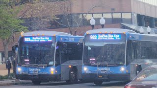 (Buses on Detour) CDTA Buses on State St and Pearl St [S3EP25]
