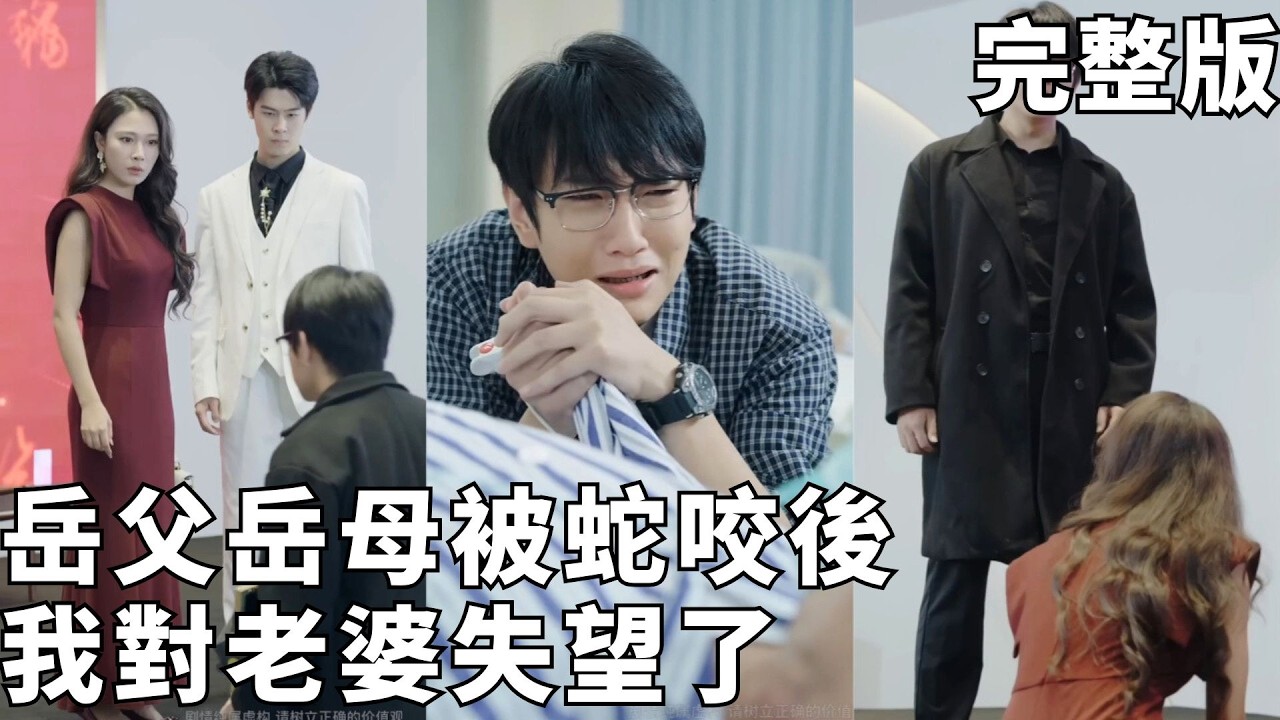 毒蛇危机：她见死不救，真相竟是...