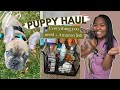 I GOT A PUPPY! | EVERYTHING I GOT FOR MY FRENCH BULLDOG!