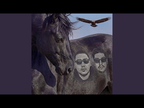 hatikoali, MOREART - Qara Jorğa