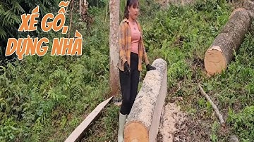 Người Phụ Nữ Miền Núi Cùng Thanh Niên Trong Thôn Xe Gỗ Rừng Dựng Nhà Giữa Thiên Nhiên Tuyệt Đẹp