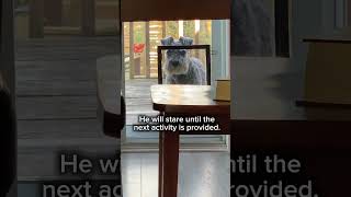 Consider yourself warned! 😂