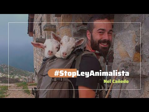 NEL CAÑEDO sobre la Ley de Bienestar Animal