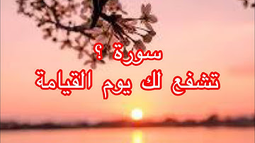 الذي يقرأ سورة الملك قلبه في حياة/تشفع لك يوم القيامة#سورة الملك#مع فضيلة الشيخ سعد بن عتيق العتيق