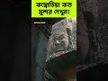 কম্বোডিয়ার মন্দিরগুলো কত সুন্দর দেখুন! Cambodia #shorts