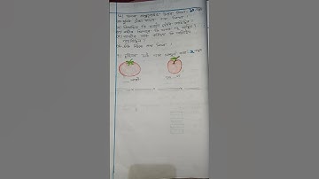 "JHANKAR " first assessment questions paper for class 2 #assamese #motivation #study #exam #question