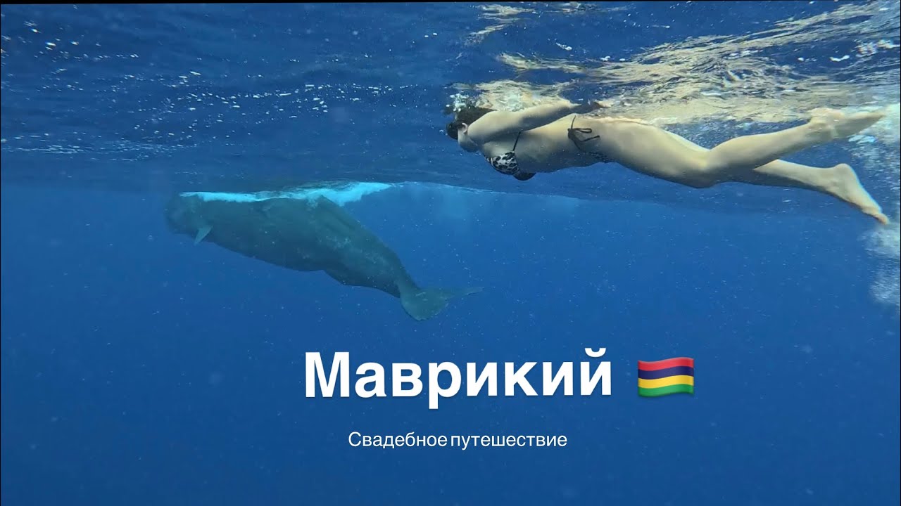 МАВРИКИЙ-ЭТО ЛЮБОВЬ🇲🇺| Свадебное путешествие| Киты| Завтрак с жирафами |Сафари 🦒🐳