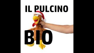 Il Pulcino Bio - Attilio Carducci