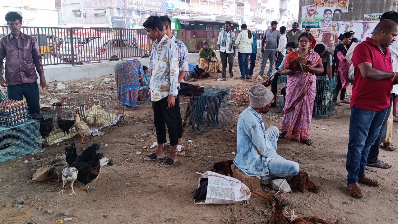 Shamshabad Thursday pets and bird market Hyderabad Telangana 5/12/2024