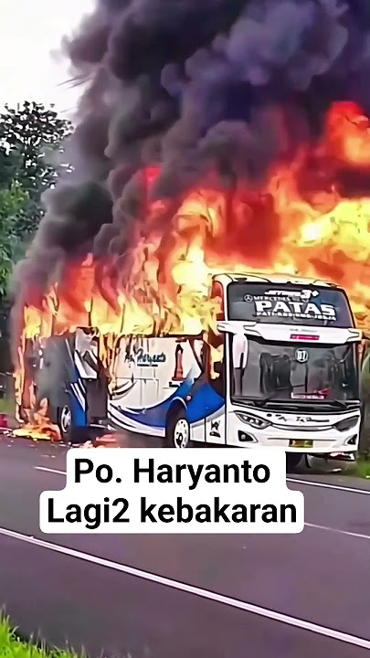 sering sekali bus po. haryanto kebakaran#shorts