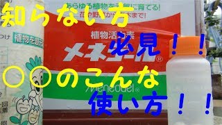 メネデールとルートンの有効活用法[34]