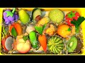 Dive into the Yellow Pool for Fruits and Vegetables | 3D Animation Adventure on Dada Mama Kids