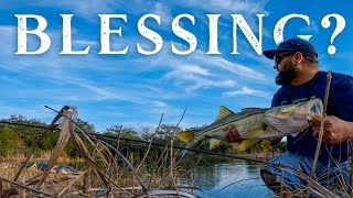 Is Catching a Fish on your First Cast Good Luck? (Snook & Tarpon Rod Setup) by Eric Estrada 1,307 views 4 months ago 8 minutes, 16 seconds