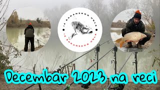 ❄️Zimsko pecanje šarana ❄️ Hranjenje/Taktika/Prezentacija ❄️Winter Carp Fishing❄️