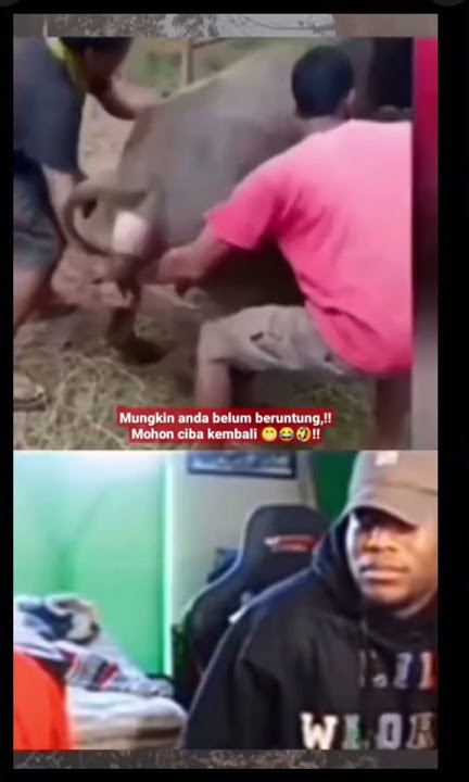 Jacpot tae sapi 🤣‼️ #shorts #status #viral #trending #humor #vtshorts #funy #meme #comedy
