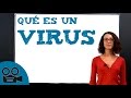 Qué es un virus