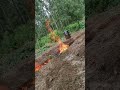 Как правильно сжигать садовый мусор 🔥