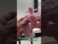 PRINTROO High Flow Efficient Printing PETG HF Filament Low Clog Risk Tough High Quality 3D Filament