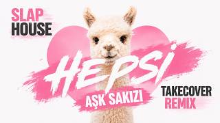 Hepsi - Aşk Sakızı (Takecover Remix)
