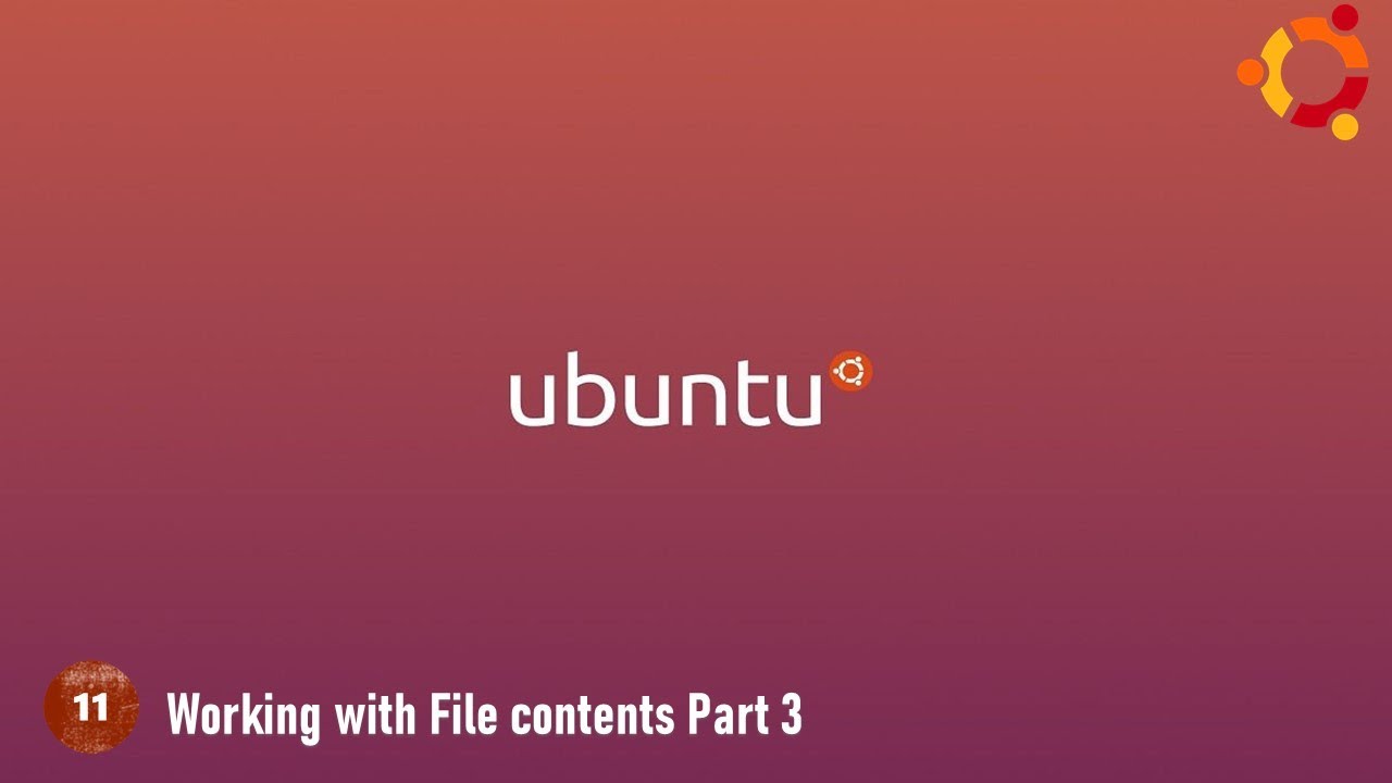 11- Working with file contents part 3 'Exercises' - YouTube
