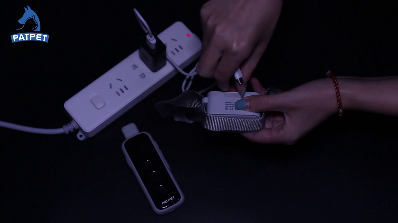 Dog Training Collar Charge Patpet 510 YouTube