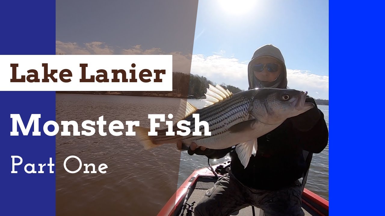 Lake Lanier Monster Fish Part One - YouTube