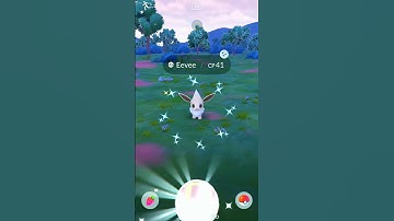 my Luckiest day when I got this SHINY😁 #shorts #pokemongo #shiny