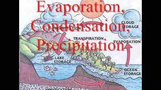 The Water Cycle Song