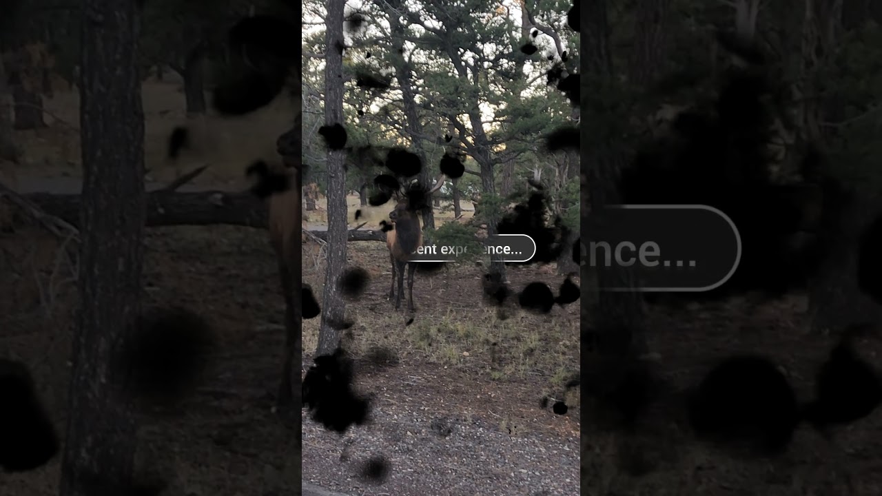 My recent experience... 