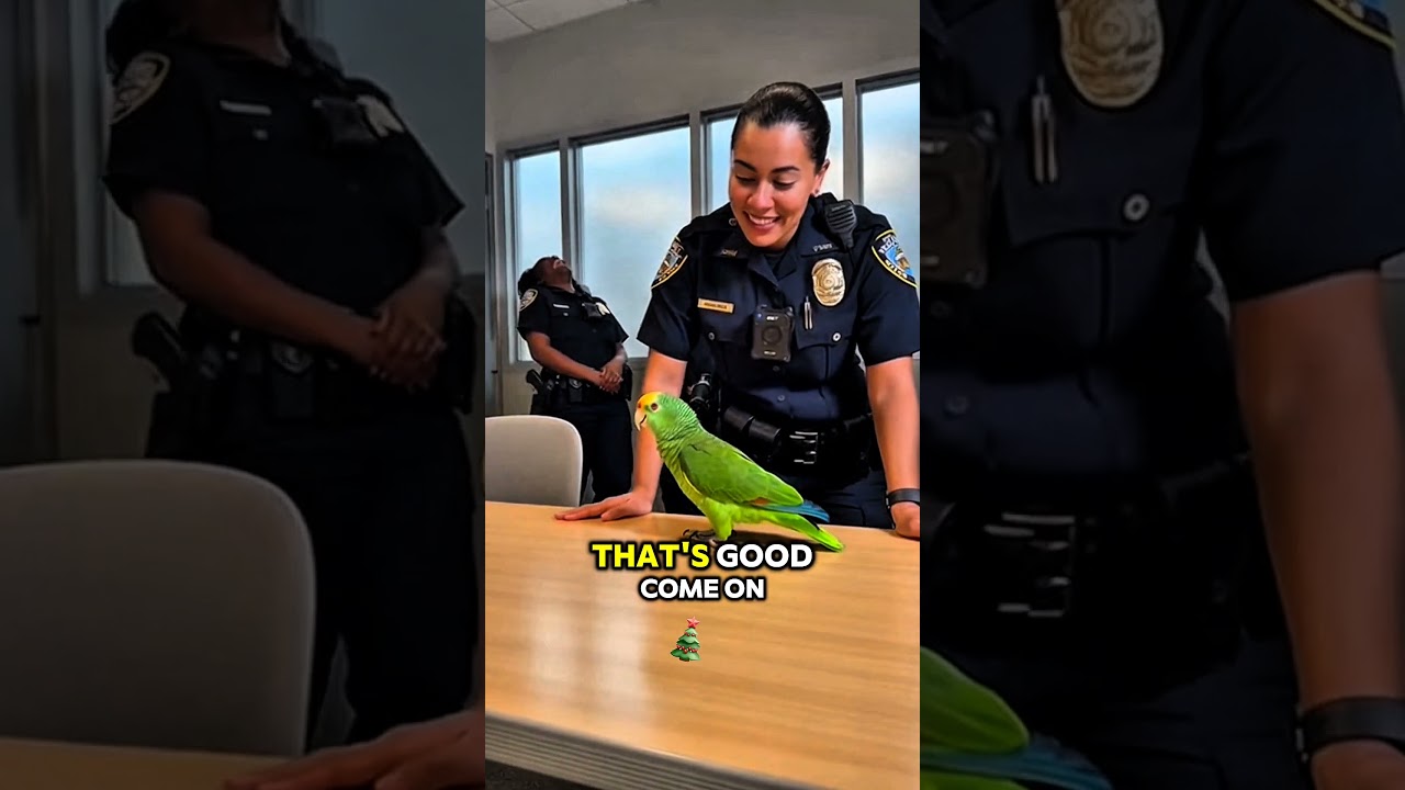 Parrot Roasting Cops// Parrot Roasting videos// Parrot Roasting female officers// 