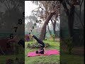 Sarvangasana #ytshorts #motivation #yogaskills #dailyyoga #youtubeshorts