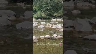 Rio puyacatengo Teapa, Tabasco 🌺