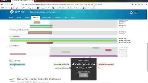 Interpro Results and Analysis