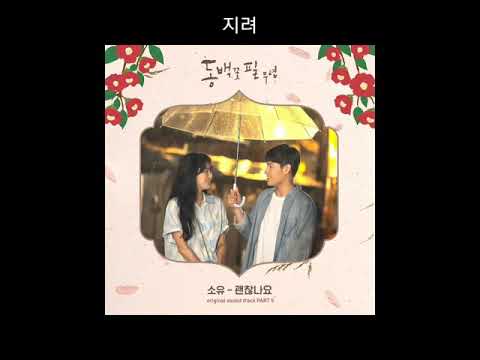 SOYOU - When the Camellia Blooms OST Part.5 – 괜찮나요