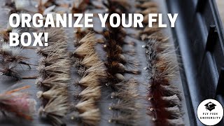 Organize your Fly Boxes with 3 Simple Steps!