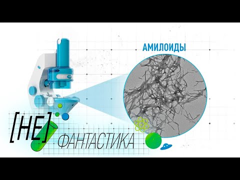 Российские ученые обнаружили уникальные белковые соединения против голода и болезней