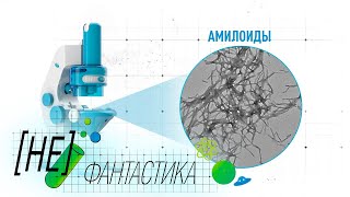 Российские Ученые Обнаружили Уникальные Белковые Соединения Против Голода И Болезней