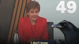 It Wisnae Me - Nicola Sturgeon and her tacit support for sex pest Patrick Grady