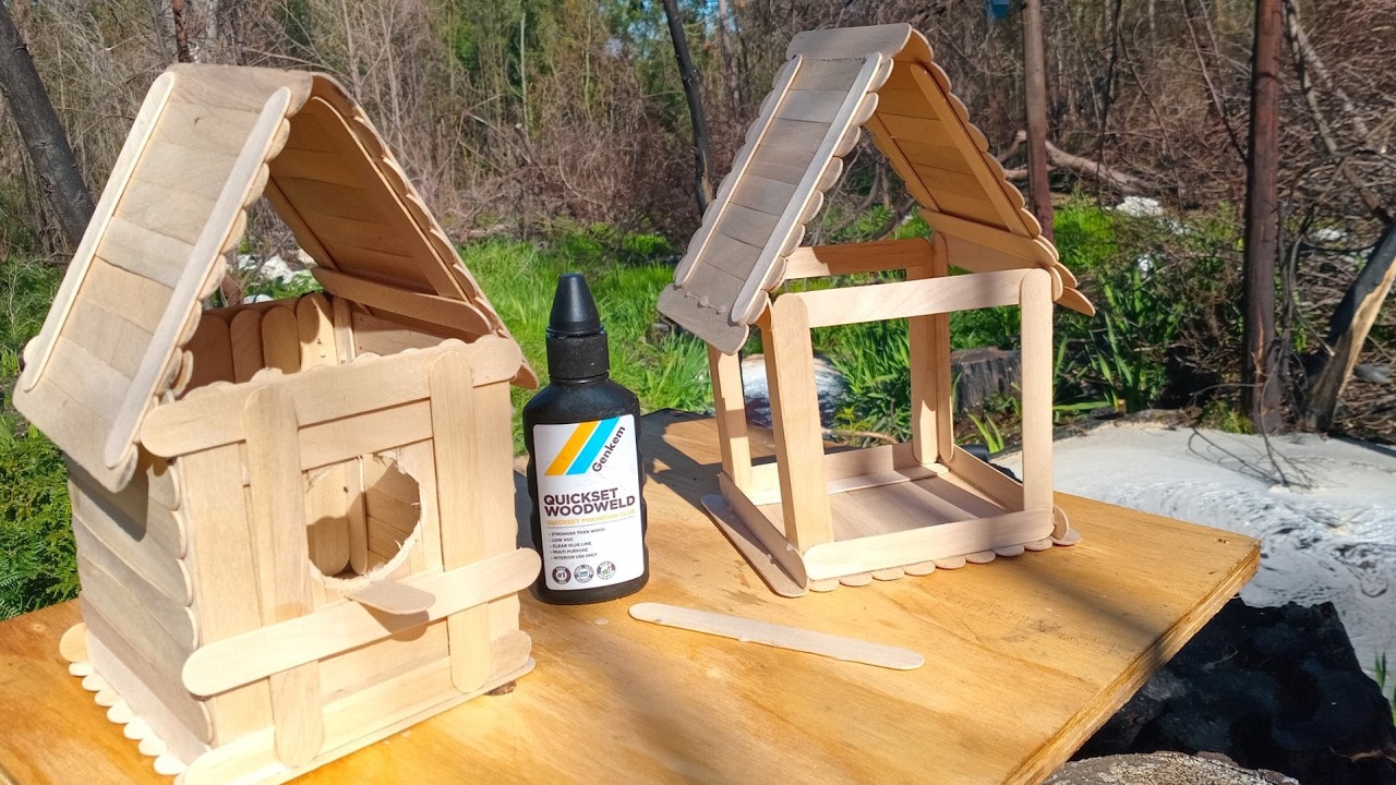 How to Build a popsicle stick Birdhouse/Bird Feeder