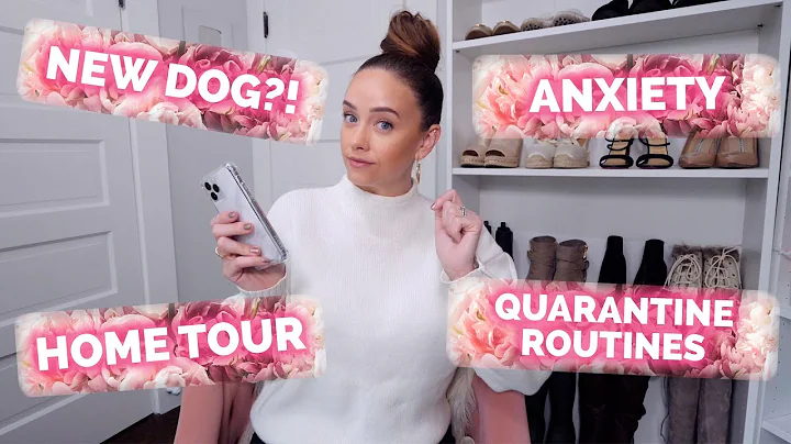 LIFE UPDATE Q&A | Amy Landino