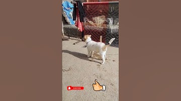 #myfirstvlog #myfirstvlog #firstvlog #firstvlog #myfirstblog #vlog #my_first_vlog #my #mcstan #viral