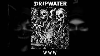 DripWater - WWW (S2GS Cover)