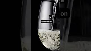 Wine Production Process Vol.1 Quick Quiz Question Wine Production Process Vol.1 Quick Quiz Question