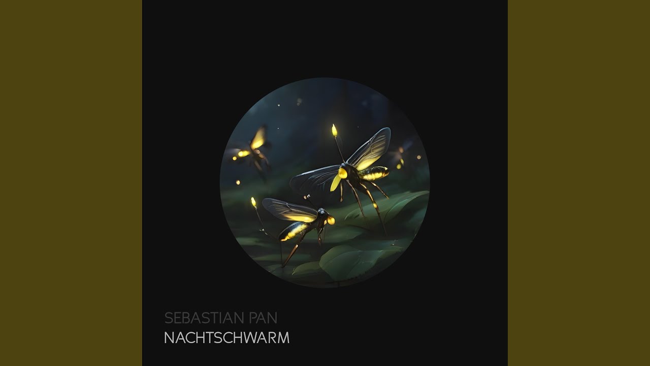 Watch Nachtschwarm on YouTube Watch Nachtschwarm on YouTube