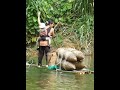 Single mother and baby - catching giant fish and making dried fish #Singlemomlife #videocatchfish #v